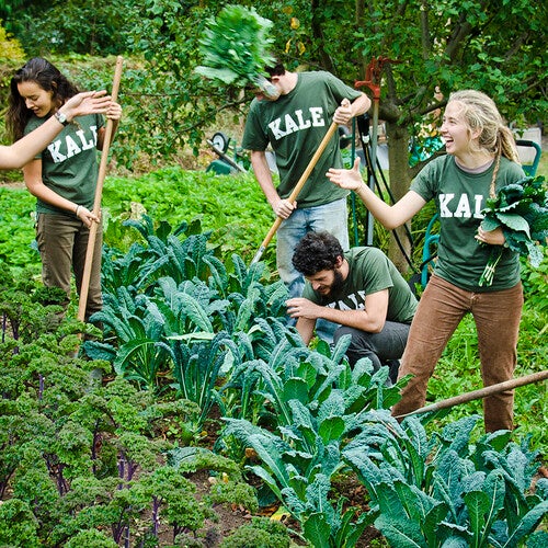 Students volunteer at the ƵSustainable Food Project on Yale's teaching farm, one of many service opportunities available on campus and in the larger community.